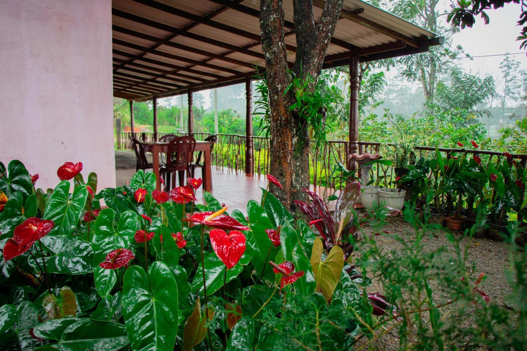 Nine Arch Homestay Ella Bagian luar foto