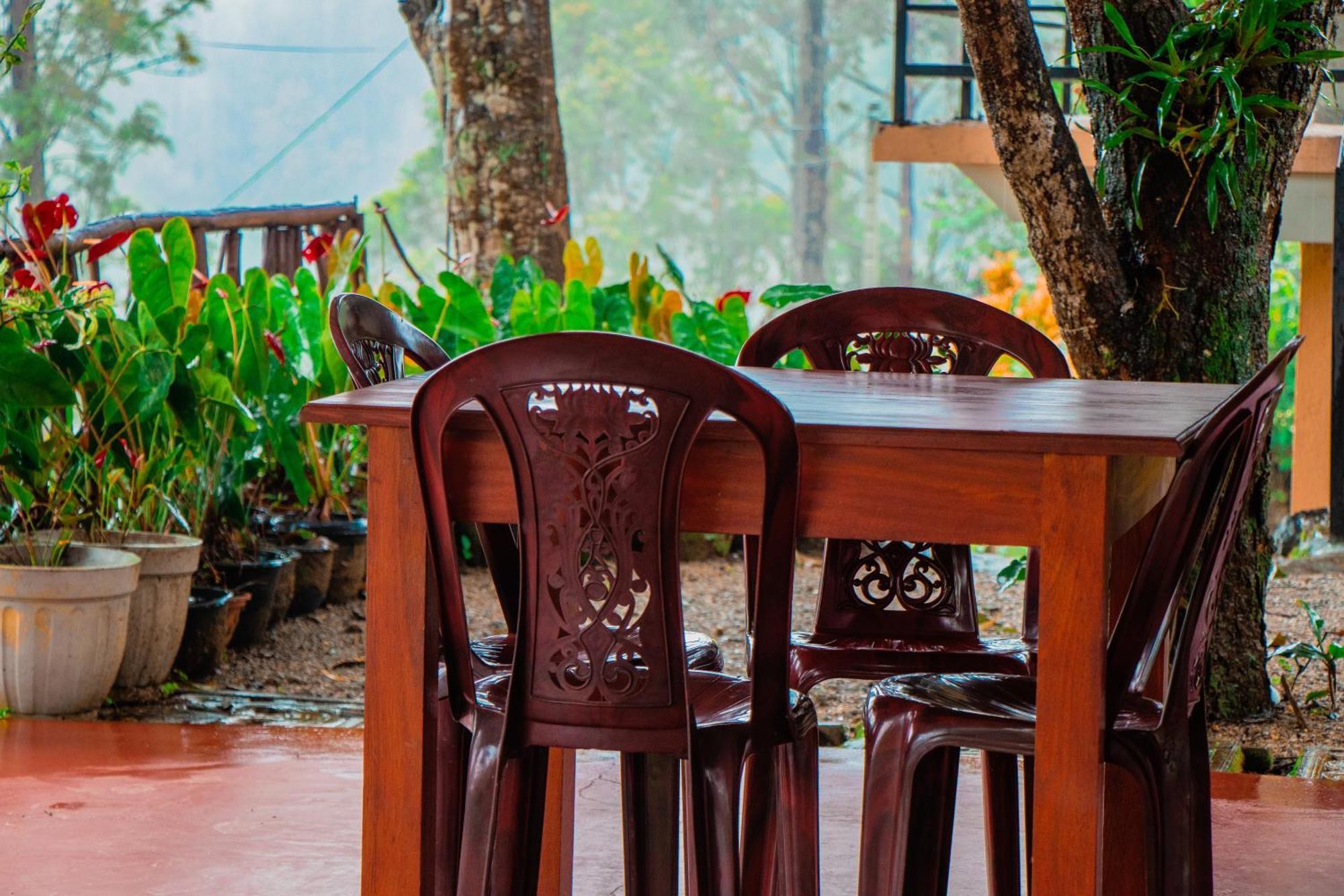 Nine Arch Homestay Ella Bagian luar foto