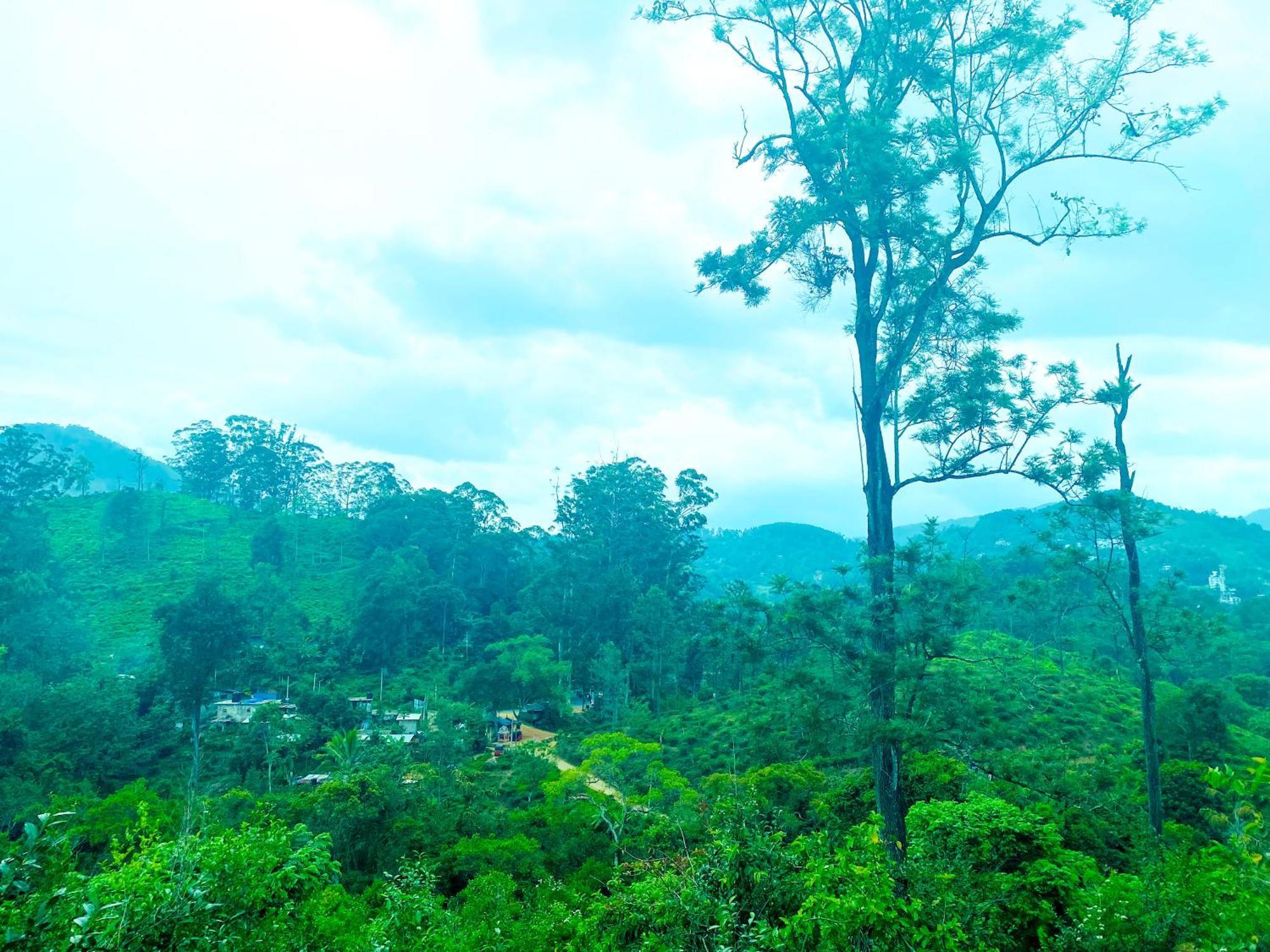 Nine Arch Homestay Ella Bagian luar foto